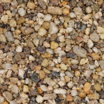 UV TERRABASE RUSTIC BEACH KIT