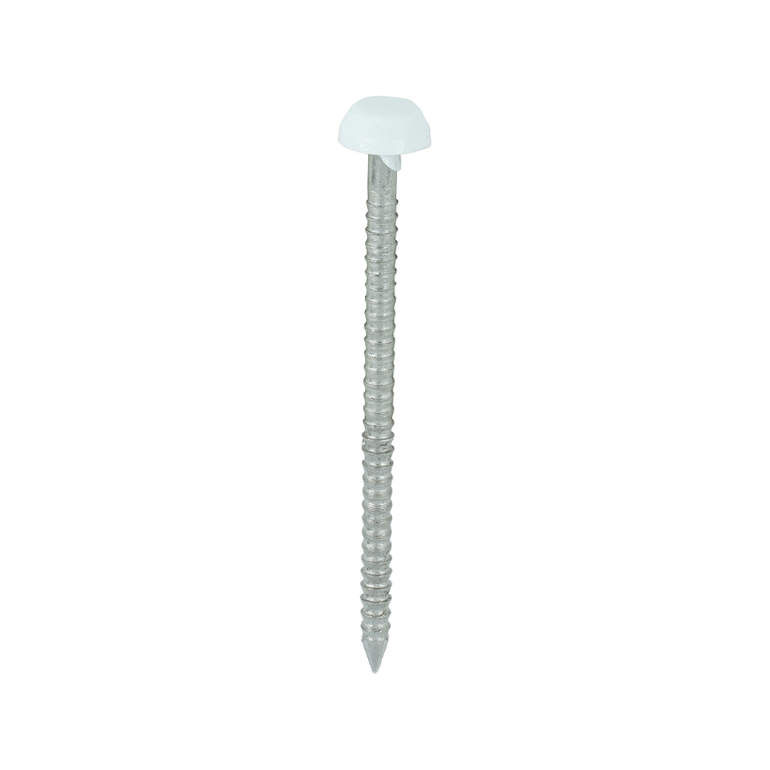Polymer Headed Pins 40MM White (250)