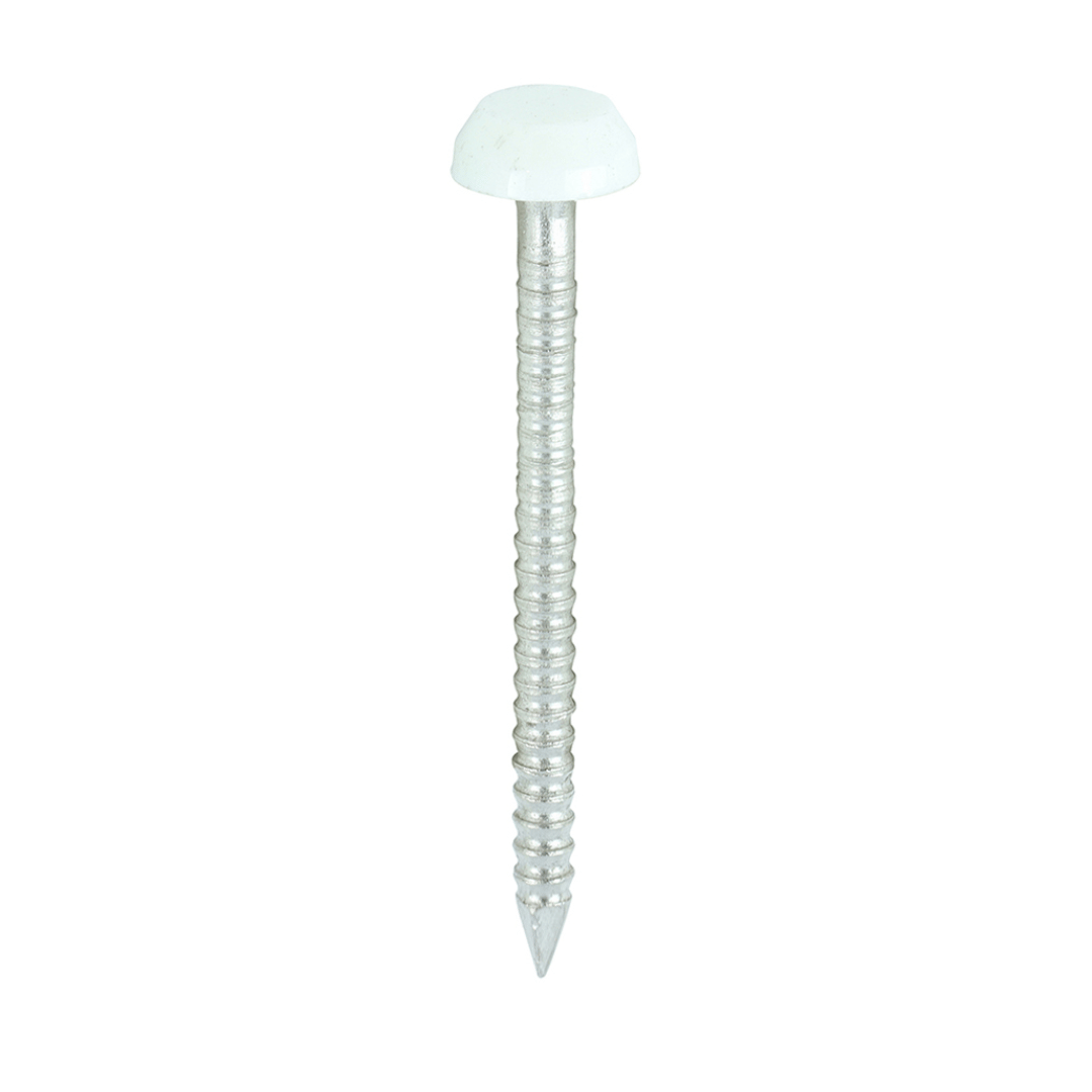 Polymer Headed Pins 30MM White (250)